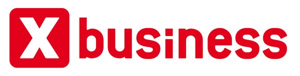 Logo: X-business